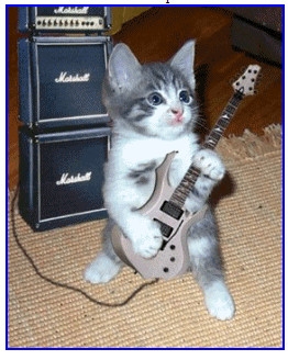 chat guitariste.......