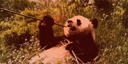 Nouveau... Des effets pour vos images ! - photo 2