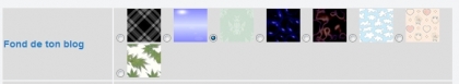 Nouveaut�: le fond de votre blog