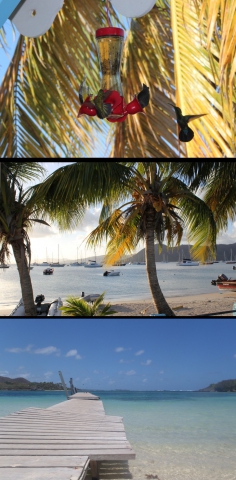 Des photos de mon séjour à la Martinique ! - photo 3