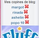 Supprimer des copines de blog...