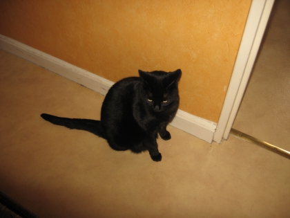 la chatte a ma pote sofia