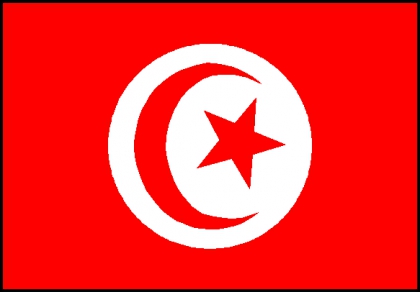 vive la tunisie