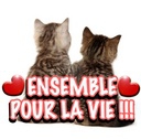 ensemble pour la vie
