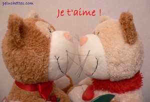je t'aime