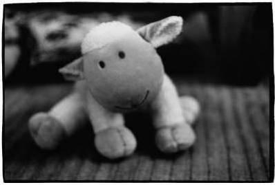 meme personaliter ke p!nk