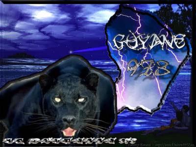 le puma de guyane