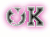 le ok ok du play boy