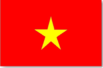 le Vit Nam en force