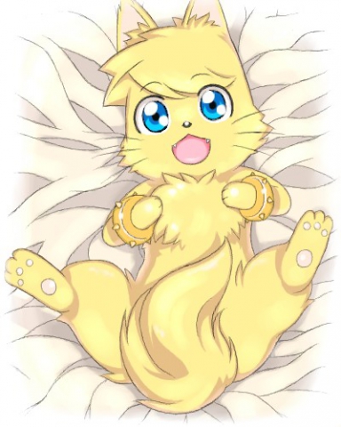 COUCOU EST CE QU'IL EST BEAU