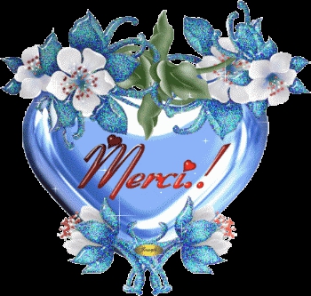 merci pour les commentaire