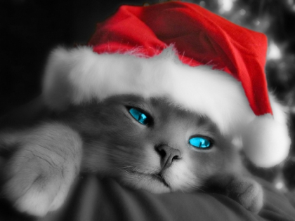 joyeux noel a toussssssssssssssssss!!!