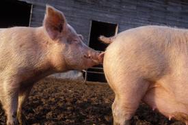 Tu en as la preuve maintenant... 0__0'