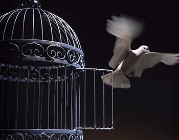 Derni�re �tape du concours de love s