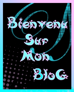 bienvenue  dans   mon   blog