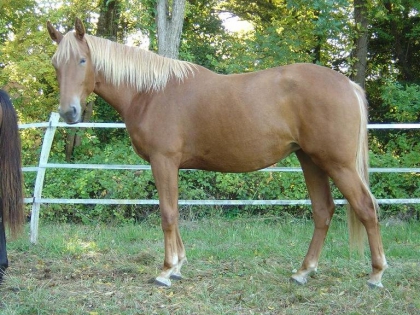 l'image de mon filme preferee 