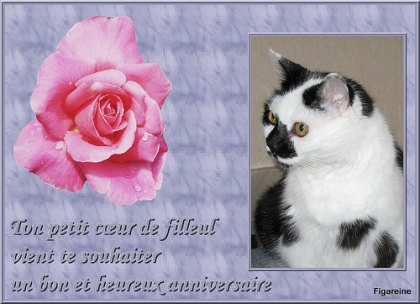 joyeux anni versaire