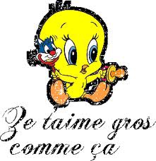 poeme que jai piquer a 