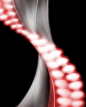 je suis toujours gentil 