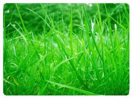 pour toute celle qui :