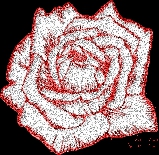 trop trop trop belle