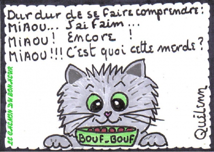 Dur dur la vie de chat !  LOL