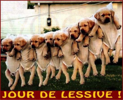 JOUR DE LESSIVE !!!