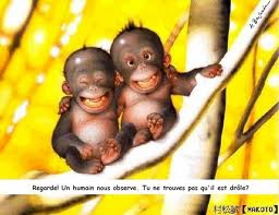 b�b� singe