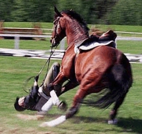 ma grosse chute de 1 semaine