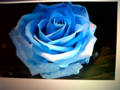 Votre vie de plus tard.................................. mais avant ....