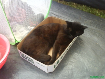 je voudrez des amies