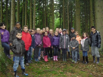 Promenade des Sources dans la f�ret