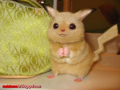 c'est vrais mais je men raplle pas