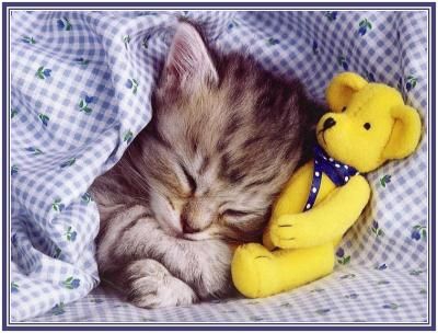 bienvenue sur le blog de lolalyssa