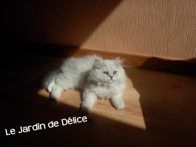 encore lisie chez nonna lol