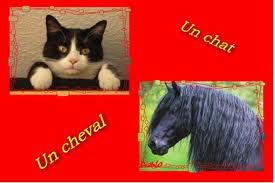 ceci et un mix de tout ce que j'aime