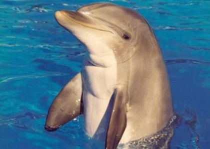 selena gomez - photo 2