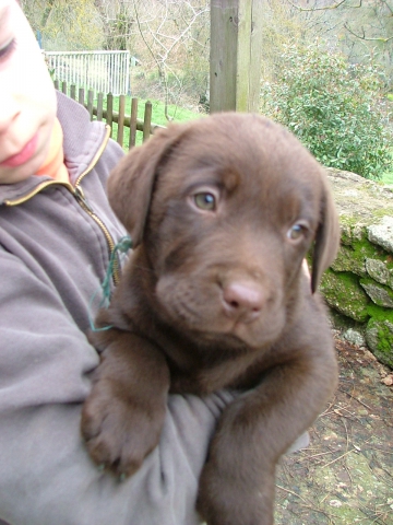 comen mettre des vid�o sur le blog et des photos personalis�?