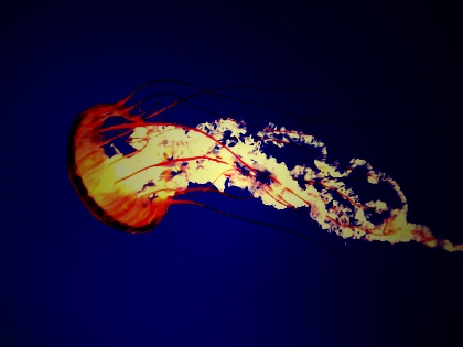 les personnes proches des filles du sites qui sont mortes - photo 2