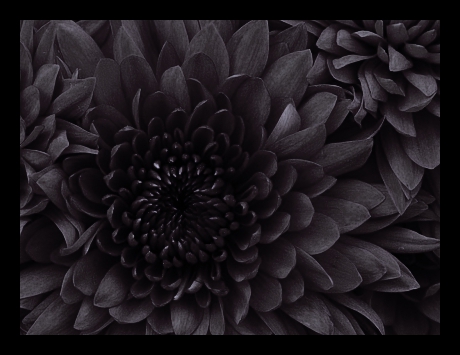 les personnes proches des filles du sites qui sont mortes - photo 3