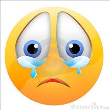 e nérlandais - photo 2