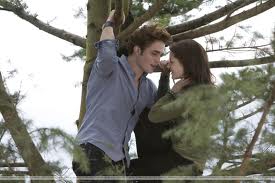 twilight - photo 2
