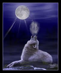 jaime trop les loups