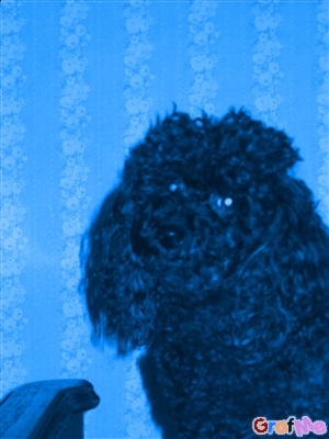 mesmontages.fr - photo 3