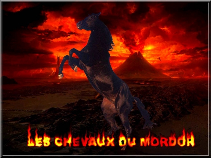 les chevaux