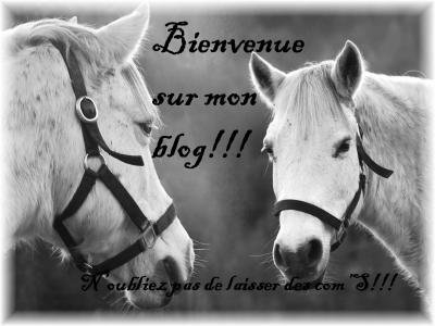 les chevaux