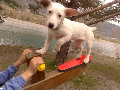 les fille quel chanteusse aimer vous 
