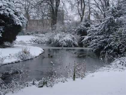 Ouuiiiiii il neige et chez vous il neige ?? :) - photo 3