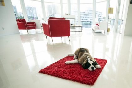 les anges de la tlralit 5  - photo 3