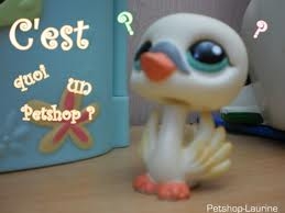 VOICI QUELQUES INFOS SU MOI...